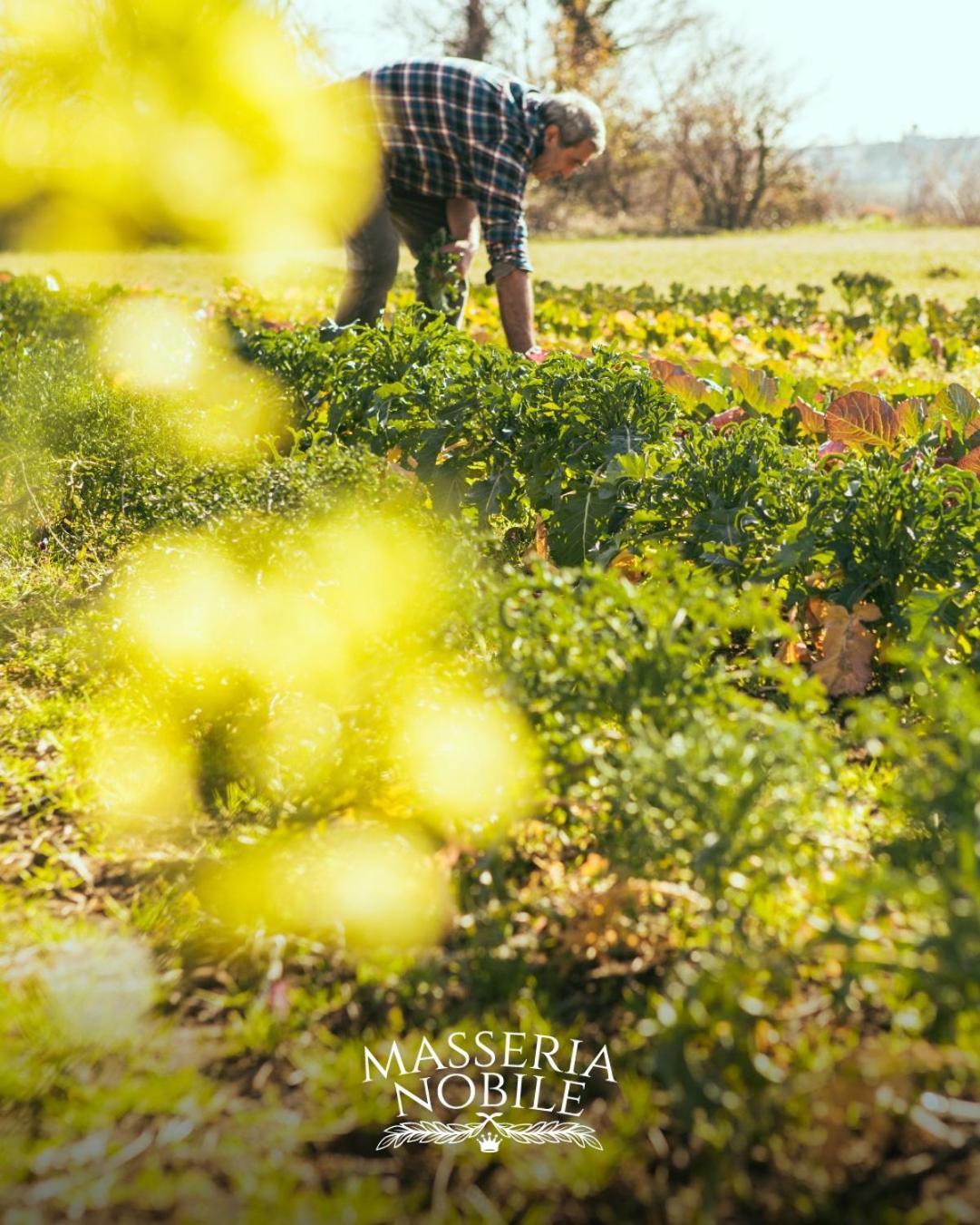 Masseria Nobile Relais Fisciano Exterior photo